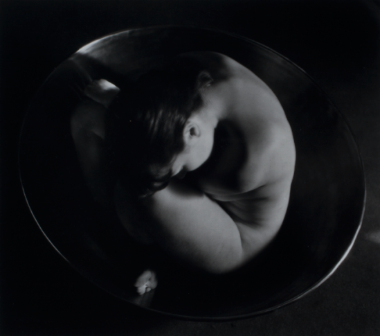 Ruth Bernhard - Embryo, 1934