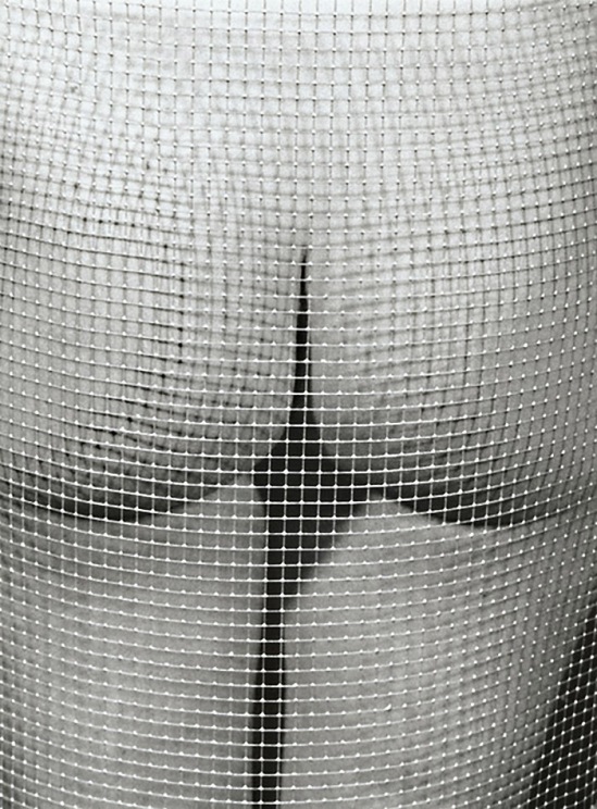 Marcel Marien - Untitled (Nude and Mesh)1985