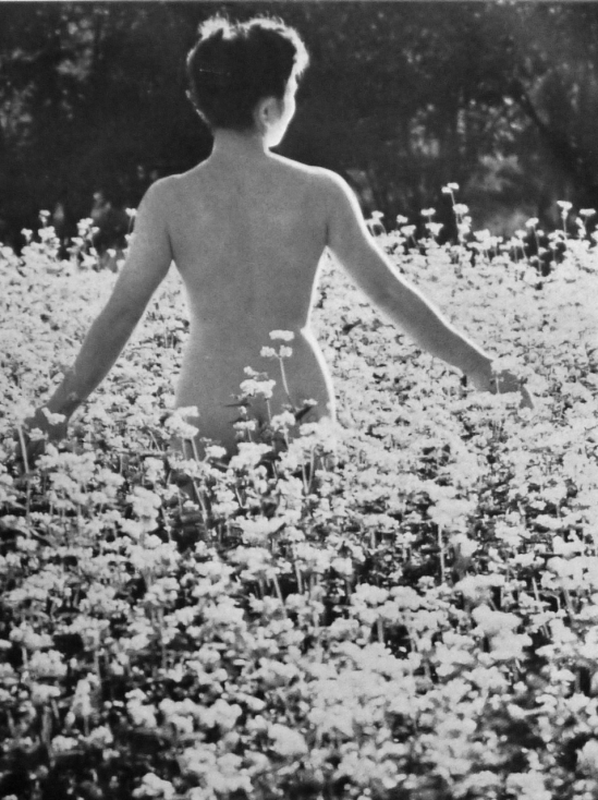 Katsuji Fukuda nude from the book Hana to Rafu to - Nude et Fleur Japan, Ivuningusuta-sha (Evening Star Sha), 1947