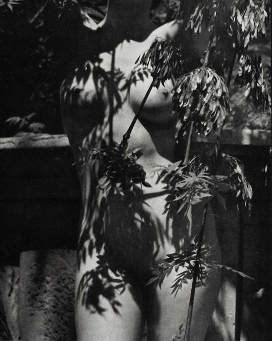 Zoltán Verre étude nue, 1950 