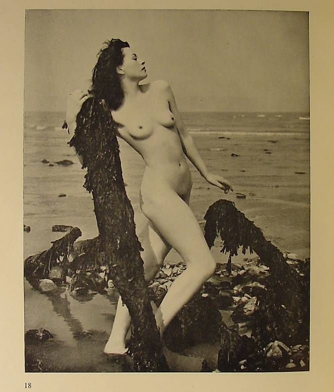 Horace Roye- Nude from the book The Irish Maid